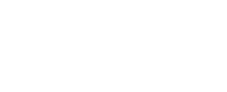 logo DUE_bianco_white_nobg
