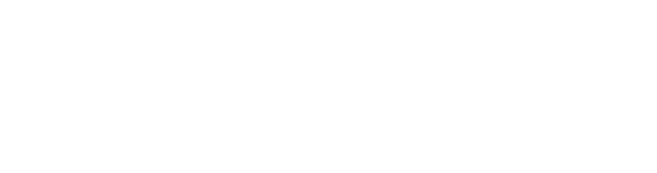 net-pro-logo-extended-bianco (1)